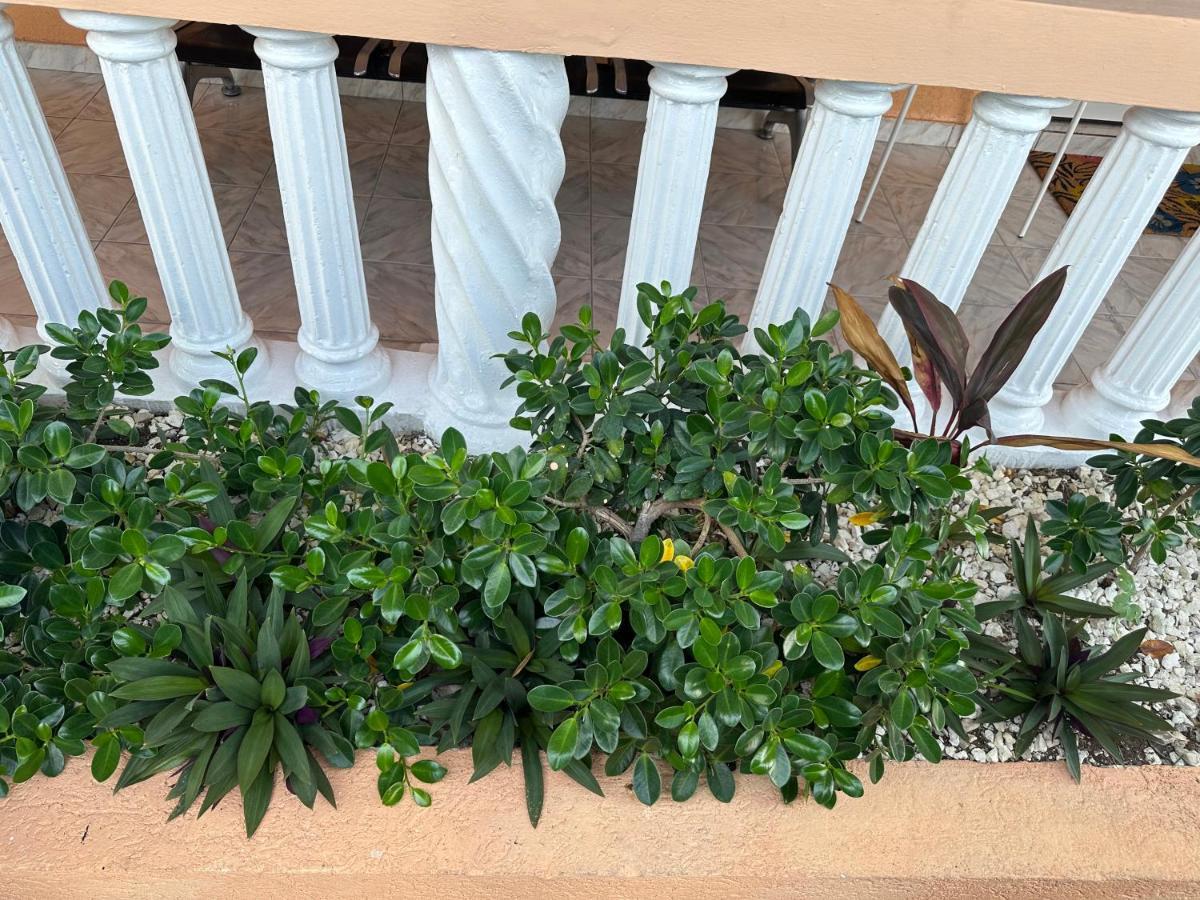 Remarkable 1-Bed Apartment In Montego Bay Ngoại thất bức ảnh